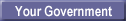 your government